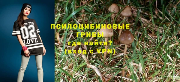не бодяженный Саяногорск